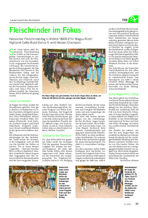 Landwirtschaftliches Wochenblatt TIER Fleischrinder im Fokus Hessischer Fleischrindertag in Alsfeld / 8000 € für Wagyu-Rind / Highland-Cattle-Bulle Darius II.