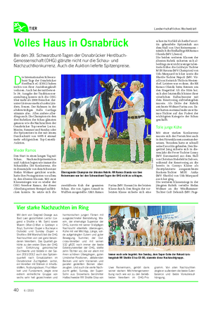 TIER Landwirtschaftliches Wochenblatt D ie Internationalen Schwarz- bunt-Tage der Osnabrücker Herdbuch eG (OHG) haben nichts von ihrer Anziehungskraft verloren.