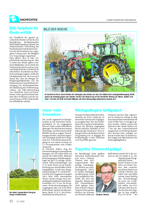NACHRICHTEN Landwirtschaftliches Wochenblatt In Herzfeld im Kreis Soest blinken die Schlepper nun wieder wie neu.