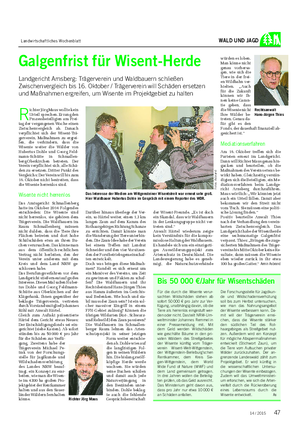 Landwirtschaftliches Wochenblatt WALD UND JAGD Galgenfrist für Wisent-Herde Landgericht Arnsberg: Trägerverein und Waldbauern schließen Zwischenvergleich bis 16.