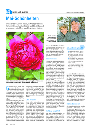 NATUR UND GARTEN Landwirtschaftliches Wochenblatt Mai-Schönheiten Wenn andere Gärten noch „in Knospe“ stehen, flanieren Besucher bei Gisela und Horst Jaspert schon durch ein Meer von Pfingstrosenblüten.