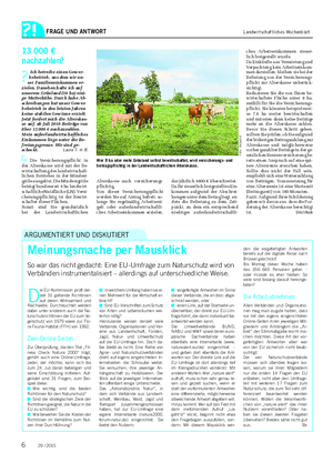 FRAGE UND ANTWORT Landwirtschaftliches Wochenblatt 13 000 € nachzahlen?