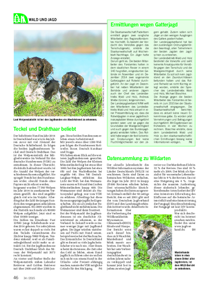 WALD UND JAGD Teckel und Drahthaar beliebt Der beliebteste Hund im Jahr 2014 in Deutschland war wie in den Jah- ren zuvor mit viel Abstand der Deutsche Schäferhund.