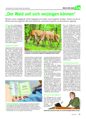 WALD UND JAGD „Der Wald soll sich verjüngen können“ Mit dem neuen Jagdgesetz haben Hegegemeinschaften neue Aufgaben erhalten.