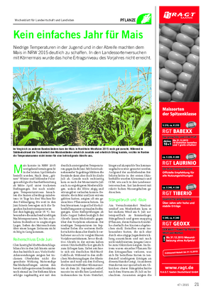 PFLANZE Kein einfaches Jahr für Mais Niedrige Temperaturen in der Jugend und in der Abreife machten dem Mais in NRW 2015 deutlich zu schaffen.