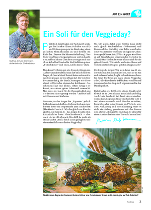 AUF EIN WORT Matthias Schulze Steinmann, stellvertretender Chefredakteur Ein Soli für den Veggieday?