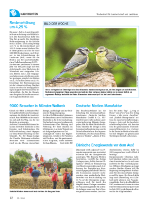 NACHRICHTEN Stress im Vogelreich: Elternvögel wie diese Blaumeise haben derzeit gut zu tun, um ihre Jungen satt zu bekommen.