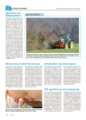 Wochenblatt für Landwirtschaft und LandlebenBETRIEB UND MARKT Sonnenschein und Frost wie in den vergangenen Tagen sind optimale Bedingungen für den Heckenschnitt.