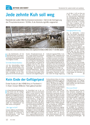 Wochenblatt für Landwirtschaft und LandlebenBETRIEB UND MARKT Jede zehnte Kuh soll weg Niederländer wollen Milchkuhbestand abstocken / Ziel ist die Verringerung der Phosphatemissionen / 50 Mio.