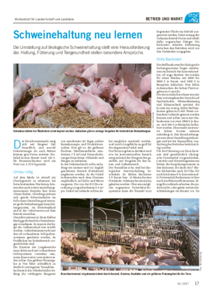BETRIEB UND MARKT Schweinehaltung neu lernen Die Umstellung auf ökologische Schweinehaltung stellt eine Herausforderung dar.