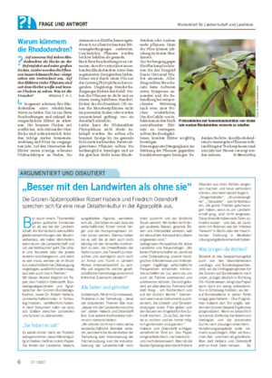Wochenblatt für Landwirtschaft und LandlebenFRAGE UND ANTWORT Warum kümmern die Rhododendren?