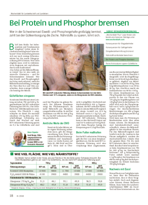 Bei Protein und Phosphor bremsen Wer in der Schweinemast Eiweiß- und Phosphorgehalte großzügig bemisst, zahlt bei der Gülleentsorgung die Zeche.