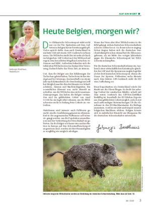 AUF EIN WORT ■ Infizierte belgische Wildschweine werden zur Bedrohung der deutschen Schweinehaltung.