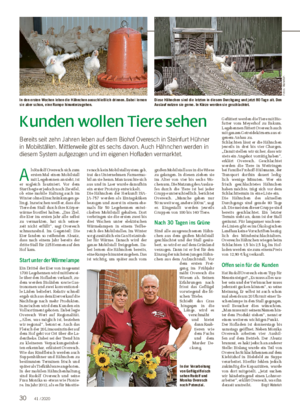 Kunden wollen Tiere sehen Bereits seit zehn Jahren leben auf dem Biohof Overesch in Steinfurt Hühner in Mobilställen.