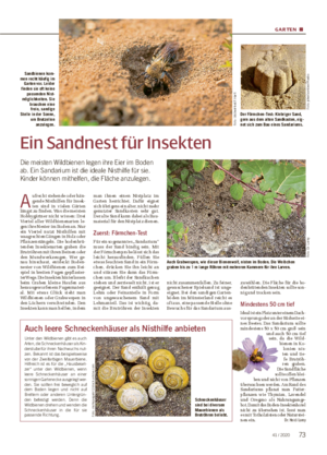 GARTEN ■ Ein Sandnest für Insekten Die meisten Wildbienen legen ihre Eier im Boden ab.