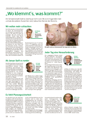 Wir wollen mehr schlachten Der Schweinestau in Deutschland ist enorm, die Tierschutzproble- me entlang der Erzeugerkette neh- men zu.