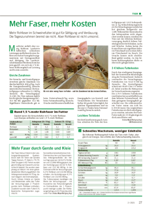 TIER ■ Mehr Faser, mehr Kosten Mehr Rohfaser im Schweinefutter ist gut für Sättigung und Verdauung.