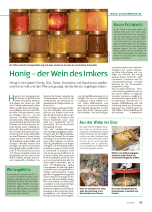 WALD, JAGD UND NATUR Honig – der Wein des Imkers Honig ist nicht gleich Honig.
