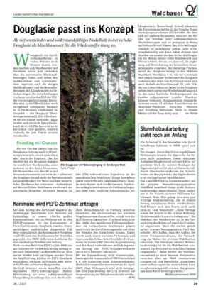 Landwirtschaftliches Wochenblatt Waldbauer W enngleich die Kyrill- Aufräumarbeiten in vielen Wäldern noch Monate dauern wer- den, machen sich Waldbesitzer und Forstleute schon jetzt Gedanken über die anstehenden Wiederauf- forstungen.