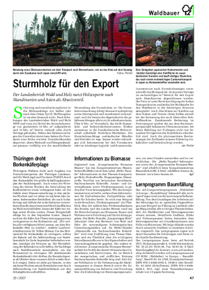 Landwirtschaftliches Wochenblatt Waldbauer S chwierig und zuweilen kompliziert ist die Holzmarktlage ein halbes Jahr nach dem Orkan Kyrill.