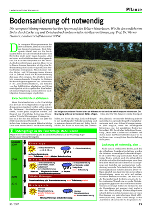 Landwirtschaftliches Wochenblatt Pflanze Bodensanierung oft notwendig Die verregnete Wintergerstenernte hat ihre Spuren auf den Feldern hinterlassen.