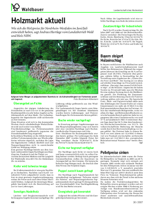 Waldbauer Landwirtschaftliches Wochenblatt Holzmarkt aktuell Wie sich die Holzpreise für Nordrhein-Westfalen im Juni/Juli entwickelt haben, sagt Andreas Hartlage vom Landesbetrieb Wald und Holz NRW.