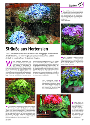 Landwirtschaftliches Wochenblatt Garten W enn Angelika Tewesmeier aus Schieder-Schwalenberg im Kreis Lippe durch ihren Garten schlen- dert, sammelt sie dabei meist fri- sche Blüten, Blätter und Zweige.