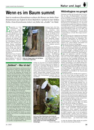 Landwirtschaftliches Wochenblatt Natur und Jagd Wenn es im Baum summt Statt in modernen Bienenkästen wohnen die Bienen von Imker Peter Kretschmann aus Tudorf im Kreis Paderborn rustikal in einer hohlen Fichte.