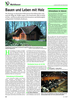 Waldbauer Landwirtschaftliches Wochenblatt Bauen und Leben mit Holz Die Nutzung von heimischem Holz kommt dem Klimaschutz und auch der Pflege der Wälder zugute.