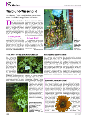 Garten Landwirtschaftliches Wochenblatt Wald-und-Wiesenbild Aus Blumen, Gräsern und Zweigen lässt sich mit etwas Geschick ein ausgefallenes Bild weben.