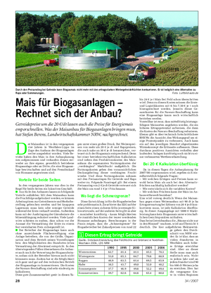 D er Maisanbau ist in den vergangenen vier Jahren in Westfalen-Lippe im Zuge des Ausbaus der Biogasanlagen weiter ausgedehnt worden.