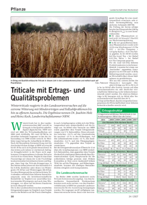 Pflanze Landwirtschaftliches Wochenblatt W intertriticale hat in den Landes- sortenversuchen 2007 sowohl im Ertrag als in der Qualität unbefrie- digend abgeschnitten.
