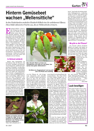 Landwirtschaftliches Wochenblatt Garten Hinterm Gemüsebeet wachsen „Wellensittiche“ In den Niederlanden entdeckte Elisabeth Hilbolt eine ihr unbekannte Pflanze.