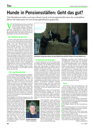 Tier Landwirtschaftliches Wochenblatt V iele Pferdehalter besitzen einen Hund und möchten diesen auch mit in die Pensionsställe nehmen.