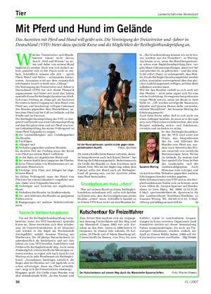 Tier Landwirtschaftliches Wochenblatt Mit Pferd und Hund im Gelände Das Ausreiten mit Pferd und Hund will geübt sein.