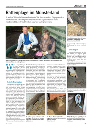 Landwirtschaftliches Wochenblatt Aktuelles Rattenplage im Münsterland In weiten Teilen des Münsterlandes sind die Ratten zu einer Plage geworden.