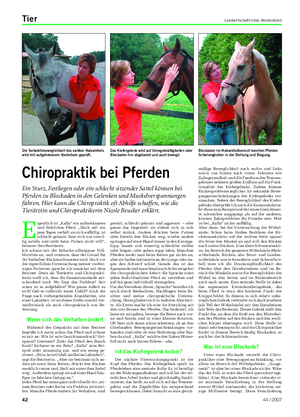 Tier Landwirtschaftliches Wochenblatt E igentlich ist „Kalla“ ein aufmerksames und fröhliches Pferd.