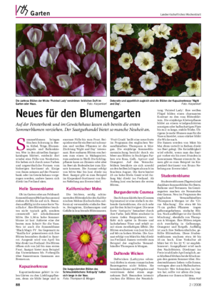 Garten	 Landwirtschaftliches Wochenblatt S ommerblumen bringen frischen Schwung in Bee­ te, Kübel, Tröge, Blumen­ ampeln und Balkonkäs­ ten.