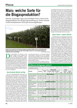 Pflanze	 Landwirtschaftliches Wochenblatt Mais:	welche	Sorte	für		 die	Biogasproduktion?