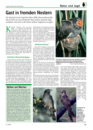 Landwirtschaftliches Wochenblatt Natur und Jagd Gast in fremden Nestern Der Kuckuck ist der Vogel des Jahres 2008.