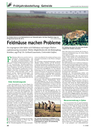 Landwirtschaftliches WochenblattFrühjahrsbestellung: Getreide F eldmäuse (Microtus arvalis) sind ur­ sprünglich Steppenbewohner und an große zusammenhängende und gleichförmig grasbewachsene Areale angepasst.