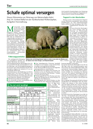 Tier	 Landwirtschaftliches Wochenblatt Schafe	optimal	versorgen Neuere Erkenntnisse zur Fütterung von Mutterschafen liefert Prof.