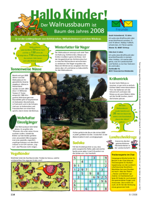 � 8 / 2008 Der Walnussbaum versorgt auch viele Tiere mit Nahrung.