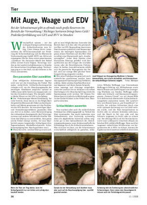 Tier	 Landwirtschaftliches Wochenblatt W irtschaftlich mästen – mit der richtigen Strategie und Sortierung der Schlachtschweine zum Er- folg.