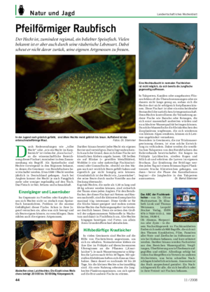 Natur und Jagd	 Landwirtschaftliches	Wochenblatt Das ABC der Fischkrank­ heiten – von  Dr.