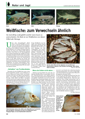 Natur und Jagd	 Landwirtschaftliches	Wochenblatt U nter dem Sammelbegriff „Weiß- fische“ wird eine Vielzahl von Fisch- arten aus der Familie der Karpfenar- tigen (Cyprinidae) zusammengefasst.