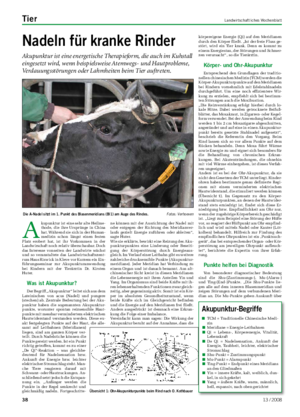 Tier	 Landwirtschaftliches Wochenblatt Nadeln	für	kranke	Rinder Akupunktur ist eine energetische Therapieform, die auch im Kuhstall eingesetzt wird, wenn beispielsweise Atemwegs- und Hautprobleme, Verdauungsstörungen oder Lahmheiten beim Tier auftreten.