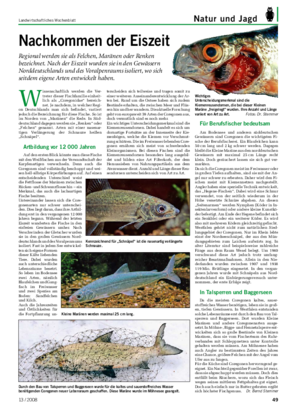 Landwirtschaftliches Wochenblatt Natur und Jagd Für Berufsfischer bedeutsam Am Bodensee und anderen süddeutschen Gewässern sind Coregonen die wichtigsten Fi- sche der Berufsfischerei.