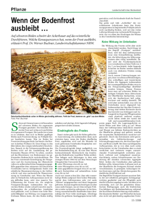 Pflanze	 Landwirtschaftliches Wochenblatt Wenn	der	Bodenfrost	 ausbleibt	… Auf schweren Böden schwört der Ackerbauer auf das winterliche Durchfrieren.