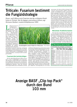 Pflanze	 Landwirtschaftliches Wochenblatt Anzeige	BASF	„Clip	top	Pack“		 durch	den	Bund	 103	mm Triticale:	Fusarium	bestimmt	 die	Fungizidstrategie Braun- und Gelbrost sowie Fusarium sind die wichtigsten Krank- heiten in Triticale.